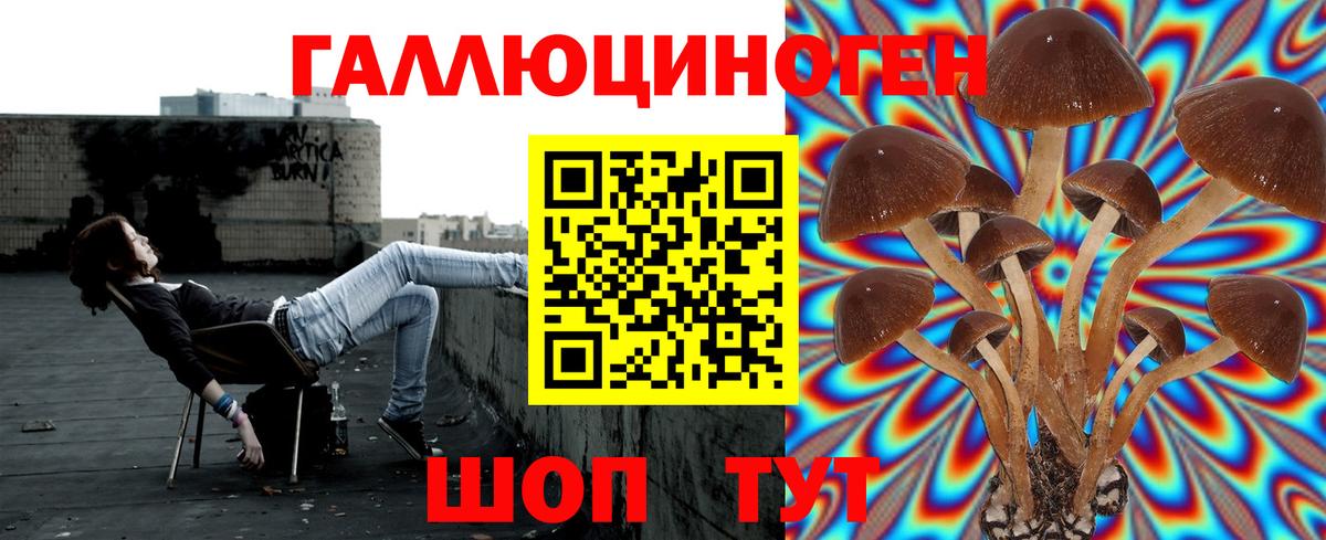 Рязань  Галлюциногенные грибы прущие грибы  Вход с VPN 